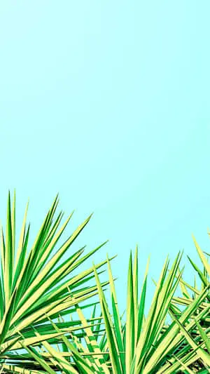 Minimalist Cute iPhone Teal Spikey Summer Plants