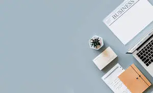 Minimalist Aesthetic Actuary Work Laptop