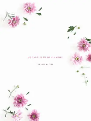 Minimalist Pink Flowers Lock Screen Aesthetic Bible Verse
